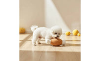 Chicken Drumstick Toy Soft Chicken Leg Stuffed Toy Funny Interactive for Dogs, Boredom Relief, Indoor Play