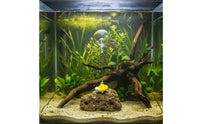 Micro-Landscape Decor Glass Turtle Aquarium Ornament Cute Design Floating Glass Turtle for Desktop