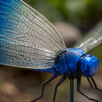 3 Pieces Clasp-on Dragonfly Stake Colorful Dragonfly Plant Clip Decorative Outdoor Decor for Yard