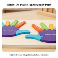 Finger Counting Board Early Development Finger and Toe Learning Puzzle Develops Fine Motor Skills Color and Number Puzzle for Classroom, Homeschooling