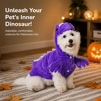 Halloween Dinosaur Pet Costume for Small Dogs and Cats