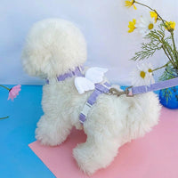 Cat Harness and Leash Set with Winged Design, Adjustable Strap Kitten Harness and Kitten Leash for Walking Medium to Small Cats, Buckle Closure