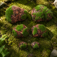 decorative moss rocks
