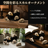 decorative skull figurines