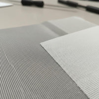 Transparent Netting Versatile Hard Mesh Textile Polyester Sieve Screen for Designers, DIY Enthusiasts, Sewing, Filtration, Crafting