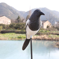 Waterproof Fake Magpie Plastic Realistic Magpie Model Lifelike Outdoor Bird Prop Weather-Resistant for Yard, Orchard