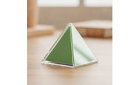 8 Pieces Geometric Shapes with Colored Nets Visual Geometric Solids 3D Shapes Hands-on Manipulatives Classroom for Teachers