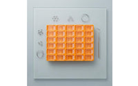 Clear Hinged Lid Orthodontic Storage Box Hard Plastic Oral Parts Organizer Yellow Orthodontic Storage Case Slimline