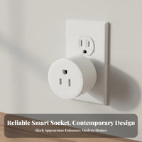 Wireless Internetreless Internet Fi Smart Plug Timer Function United States Typical Smart Plug Distant Control Outlet No Hub