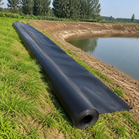 HDPE Geomembrane Sheet 0.2mm Thick Black Waterproof Sheet for Reservoirs and Aquaculture Ponds