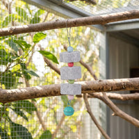 Parrot Gnawing Toy with Cuttlebone for Birds, Hanging Bird Grinder with Beads, Cockatiel Toy for Beak Trimming Health