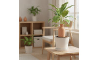 Slow-Release Terracotta Watering Bottle Porous Self-Watering Olla Automatic Clay Irrigation Vessel Indoor Outdoor for Travelers, Potted Plants