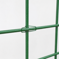Trellis Iron Fence Clematis Support Green Garden Gardening Climbing Plant Training