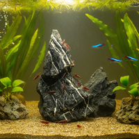 Natural Qinglong Stone for Aquarium Landscaping and Moss Terrariums