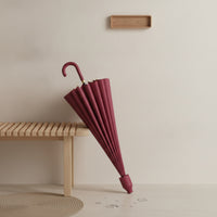 Auto Open 24-Rib Umbrella Automatic Long Handle Umbrella Water Repellent Heavy Duty for Commuters, Rainy Days