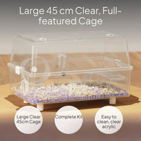 Transparent Hamster Habitat, Large Pet Villa, Easy Clean