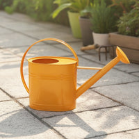 Metal Watering Can with Sprinkler Head Arched Handle Watering Can with Long Spout Stylish Vessel Modern for Gardeners