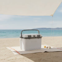Insulated Ice Chest with Ice Packs Lightweight Hard-Sided Chiller with Handle Versatile Insulated Cooler for Camping, Barbecue