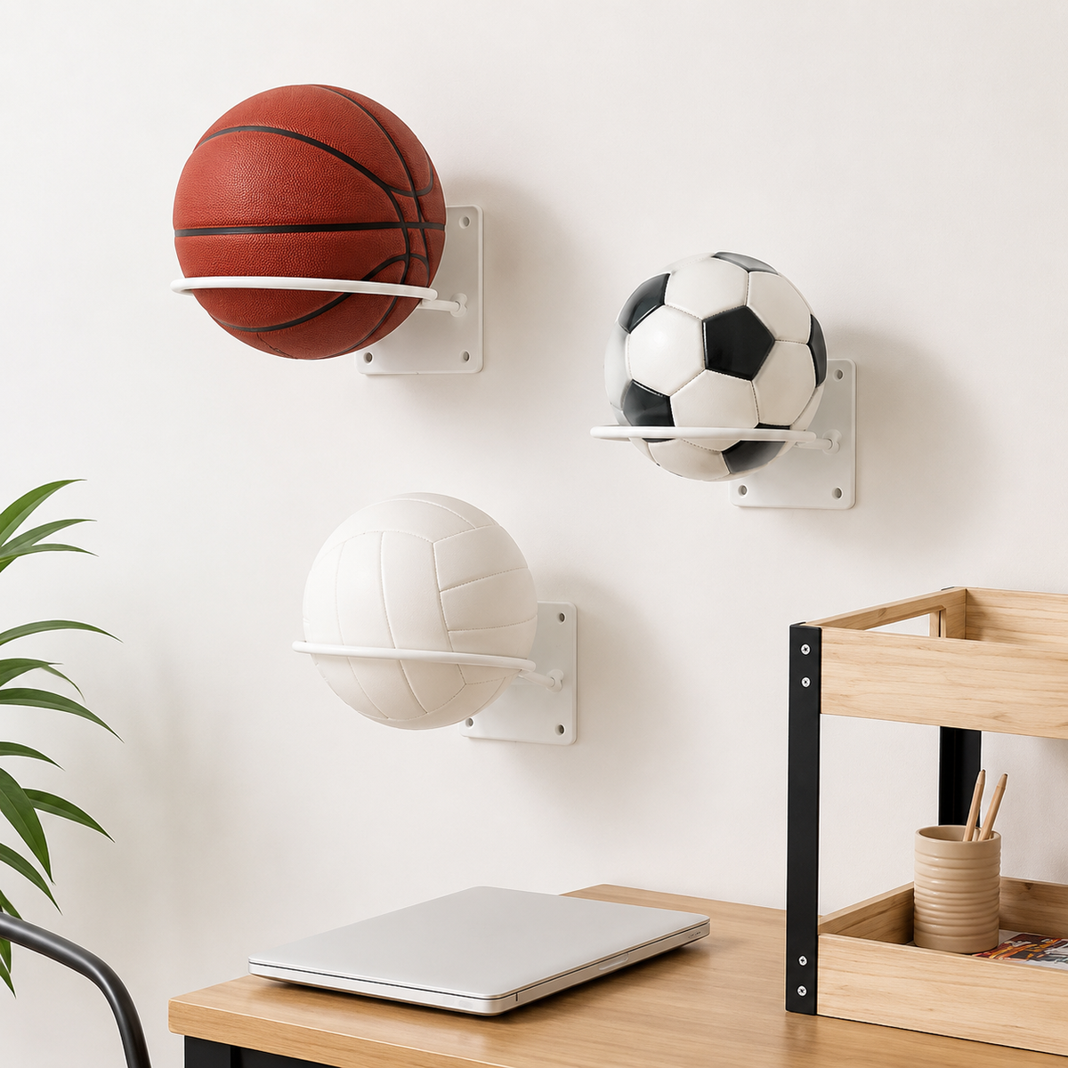 wall-mounted ball rack