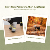 Thick pet suit for cold weather