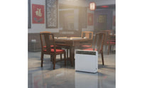 Odor Eliminator Smoke Eater Negative Ion Generator Indoor Air Purifier Wireless Controller Control for Smokers, Mahjong Room, Commercial