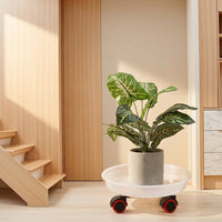 Heavy Duty Plant Stand with Swivel Casters, Plant Pot Tray and Stand, Floor Standing Indoor Outdoor Support for Large Potted Plant