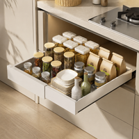 pull-out cabinet organizer