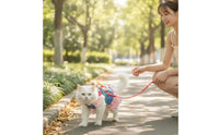 Dog Harness Dress with Leash Strawberry Cat Harness Dress with Leash Ruffled Cute for Small Dogs, Outdoor Walking, Daily Walks