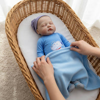 Reborn Baby Doll Hand-Painted Baby Doll with Cloth Body Dolls Lifelike Soft for Collectors, Nursery Display, Photography Props