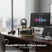 Desktop Audio Stand Stable Base Sound Equipment Damping Stand Sturdy Construction Multi-Tier Amplifier Rack for Audiophiles, Studio
