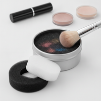 Makeup Brush Dry Cleaning Box with Sponge for Quick Color Switch