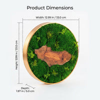 framed moss art