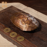 Brass Money Turtle Figurine Copper Turtle Shell Handheld Ornament