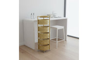 Large Capacity Multi-Tier Rolling Cart Sturdy & Long-Lasting Utility Trolley with Wheels No Assembly Required Mobile Shelving Unit Quiet Casters for Nail Technicians, Hairstylists Artists, Spa, Bathroom, Office, Kitchen