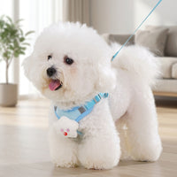 Cat Harness and Dog Harness Set with Small Dog Leash and Cat Leash, Reflective Polyester Flat Rope Outdoor Pet Gear for Small to Medium Dogs