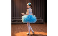 School Choir Uniform Soft Tulle Skirt Girls' Glitter Ballet Skirt Dress Boys' Glitter Performance Outfit Bright Hues