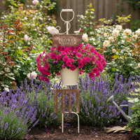 Rustic Iron Bird Planter Garden Yard Decoration