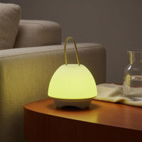 Two-colorColor Fungus Night Light Cordless Rechargeable Night Light Fungus Lamp