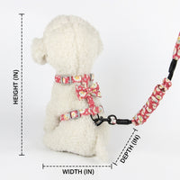 Cat Vest Harness and Leash Set, Adjustable Nylon Cat Walking Harness, No Pull Training Lead for Outdoor Travel