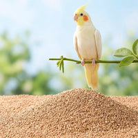 Bird Droppings Liner and Cage Sand Walnut Corn Husk Mix, Absorbent Tray Bedding for Parrot Nesting, Includes Stainless Ladle Kit