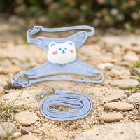Cat Harness and Leash Set, Adjustable Polyester Vest Style Kitten Harness with Kitten Leash, Small Cat Outdoor Walking Gear, Not Retractable