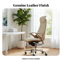 Ergonomic Design Highspine Managerial Chair 360-Degree rotate Office Furniture Adjustable Height Desk Seat Padded Cushioning for Managerials, Professionals, Students, Study Room