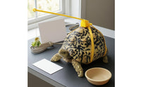 Turtle Harness and Leash Hanging Tether Turtle Walking Leash Yellow Reptile Walking Harness for Exercise