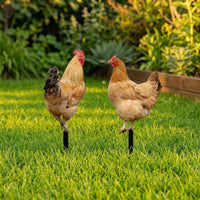 2 Pieces Chicken Silhouettes with Ground Stakes Acrylic Chicken Garden Stake Animal-Themed Outdoor Decorations Black