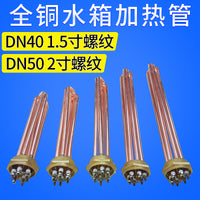 DN40 Hex Flange Immersion Heater for Water Tank Boiler, High Power Stainless Steel Heating Element