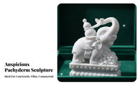 2 Pieces White Marble Elephant Statue Securing Symbol Feng Shui Elephant Pair Traditional Design House Decoration for Housewarming, Tabletop Display