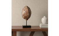 Retro Design Turtle Shell Sculpture Vintage Tortoise Shell Figurine Nature-Inspired Tortoise Miniature Textured Finish for Living Room, Entryway