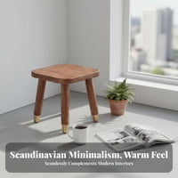 Multi-Functional Low Profile Stool Fully Assembled Handled Square Stool Stable Household Furniture Strong Load-Bearing for Children, Seniors, People with Mobility Issues, Entryway, Living Room, Bedroom, Bathroom