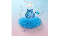 School Choir Uniform Soft Tulle Skirt Girls' Glitter Ballet Skirt Dress Boys' Glitter Performance Outfit Bright Hues