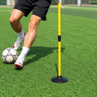training slalom pole